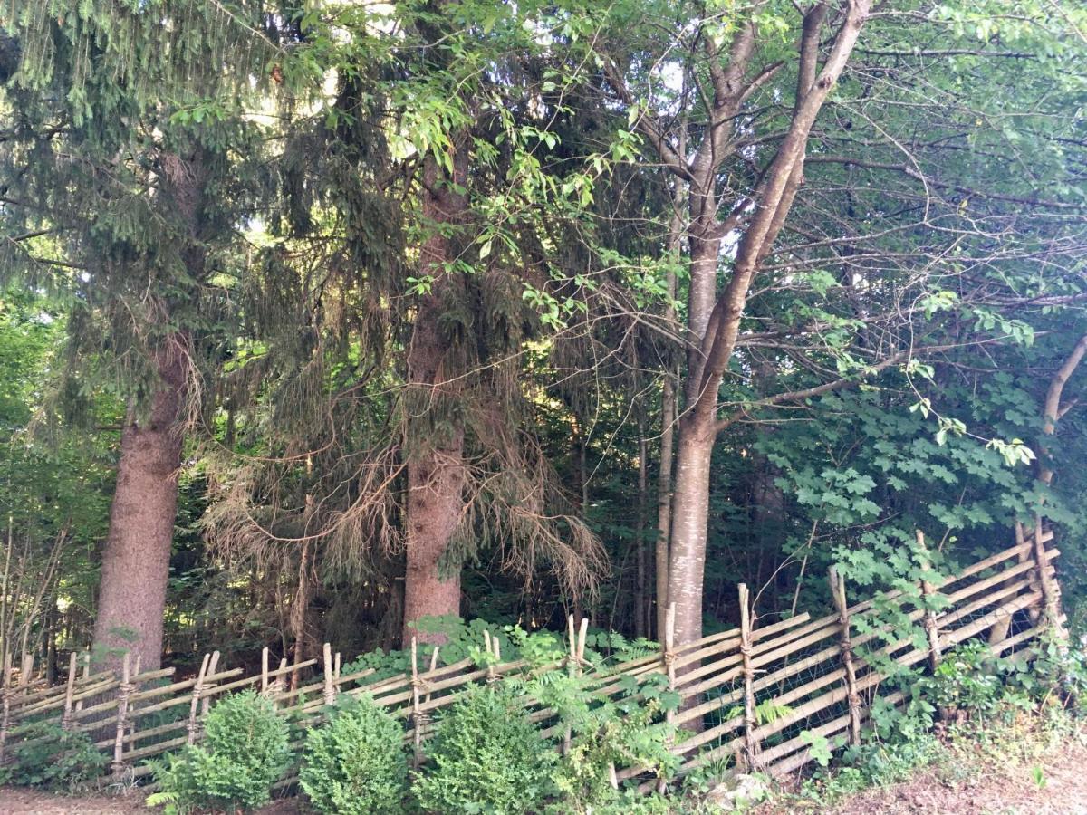 Naturforsthaus Gartenblick für tier- und naturverbundene Menschen Preitenegg Exterior foto
