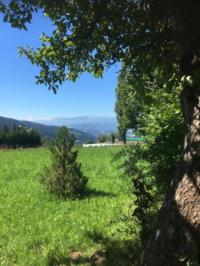 Naturforsthaus Gartenblick für tier- und naturverbundene Menschen Preitenegg Exterior foto