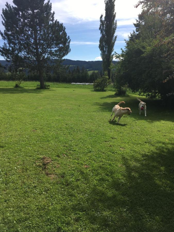 Naturforsthaus Gartenblick für tier- und naturverbundene Menschen Preitenegg Exterior foto