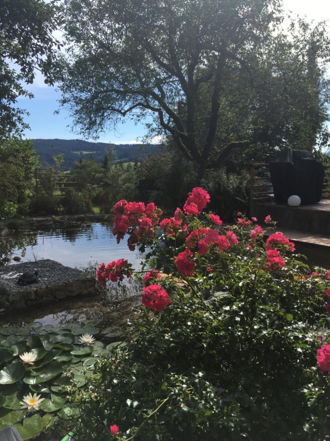 Naturforsthaus Gartenblick für tier- und naturverbundene Menschen Preitenegg Exterior foto